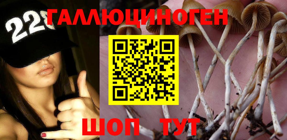 Псилоцибиновые грибы Magic Shrooms  магазин продажи наркотиков  Мыски  Вход с VPN 